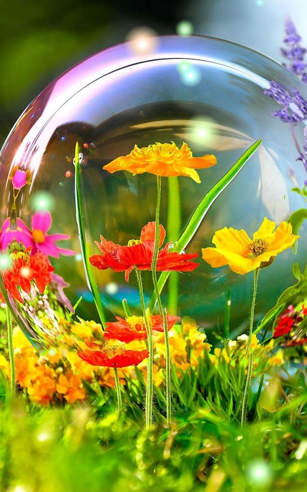 прекрасный мир природы