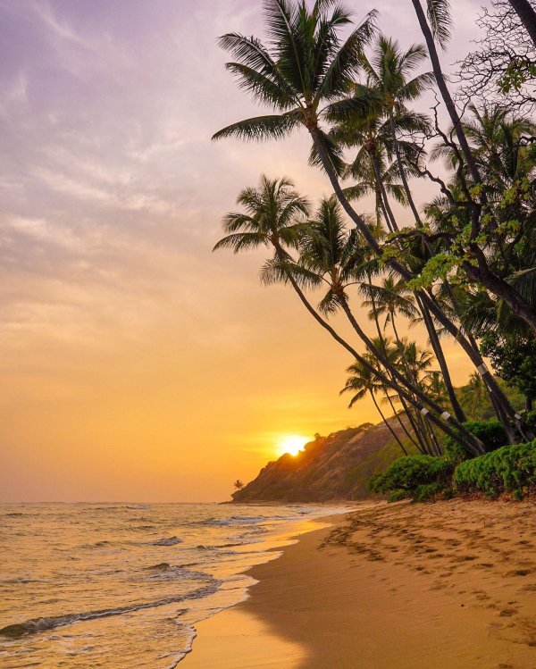 сансет бич гоа