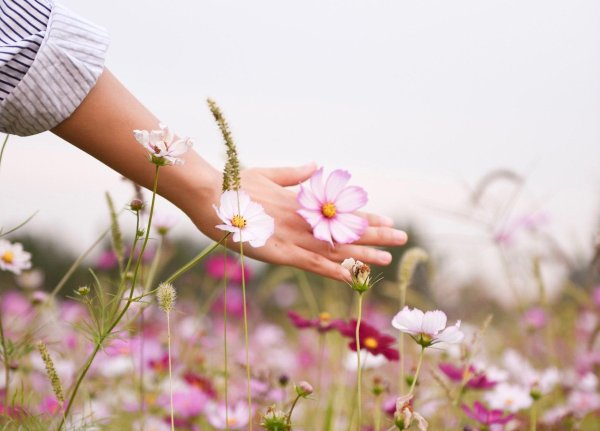 высказывание о счастье