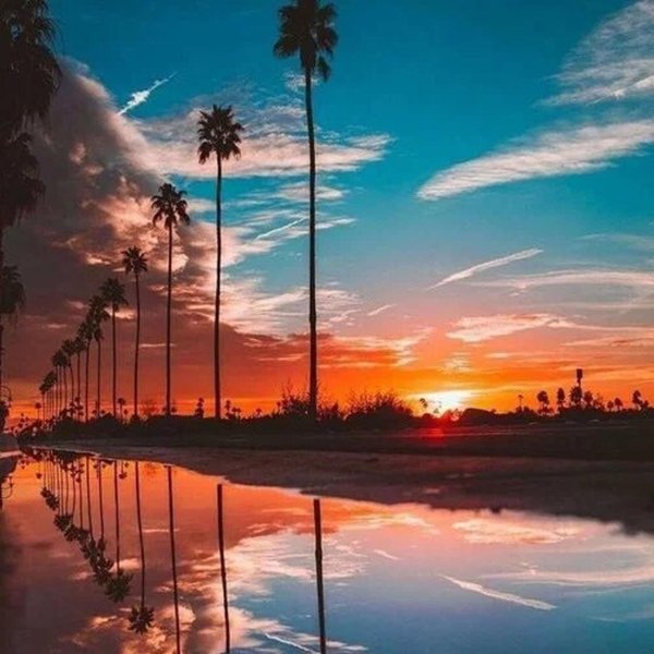 лосанджелес калифорния флорида