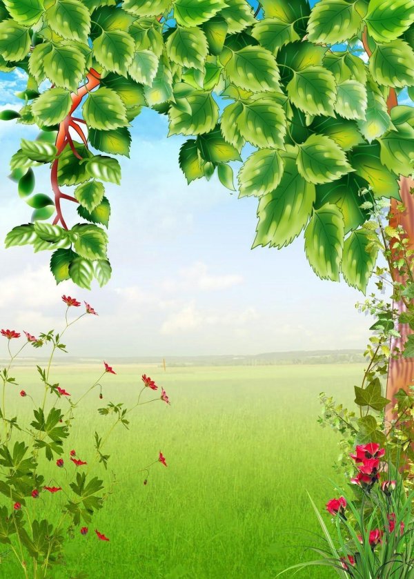 рамка с березовыми листочками