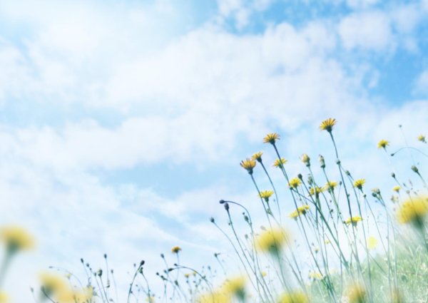 лето маленькая жизнь