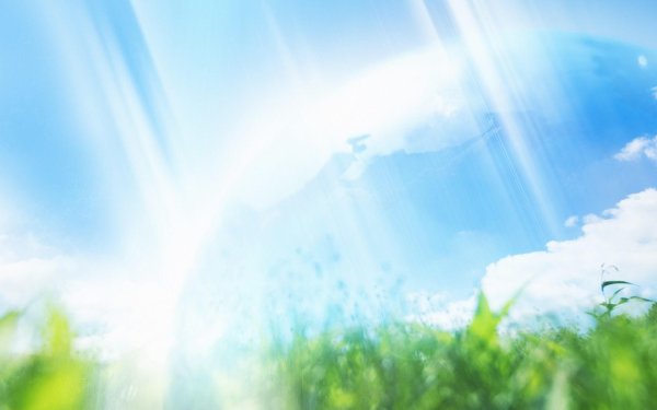 трава и небо