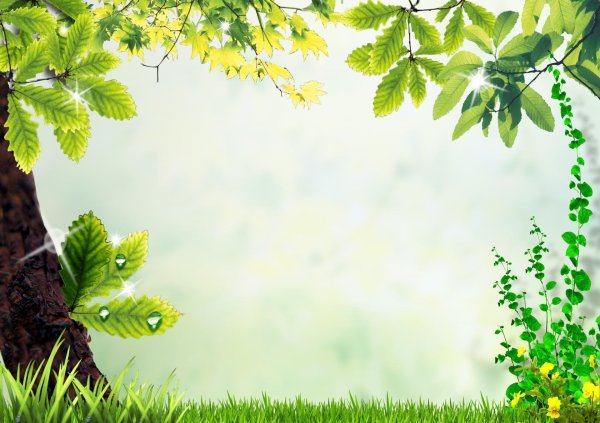 рамка природа