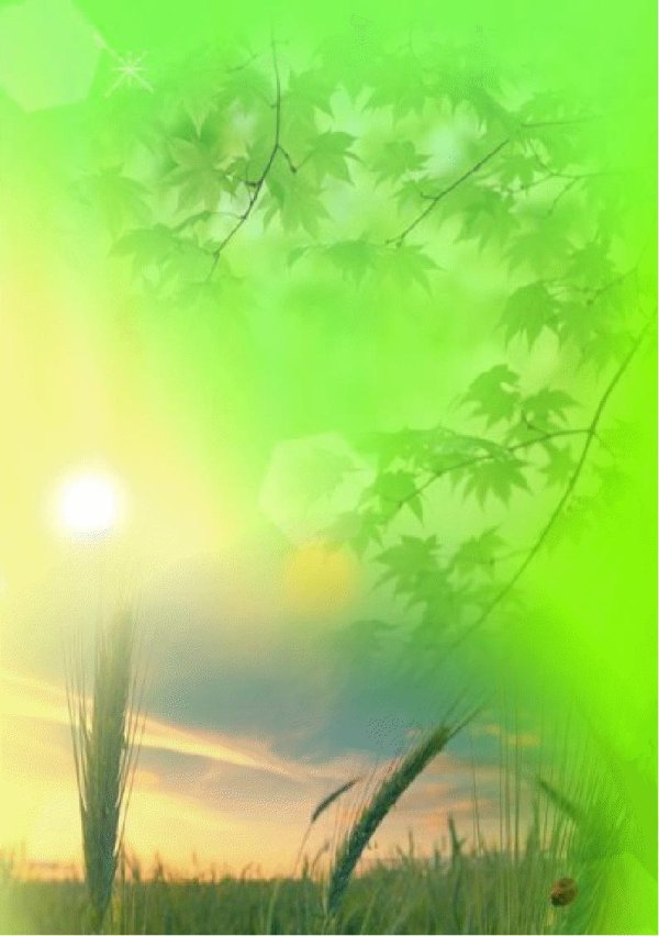 фон природа