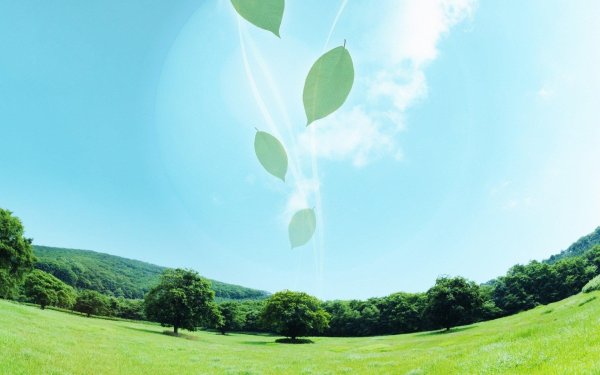 чистая природа