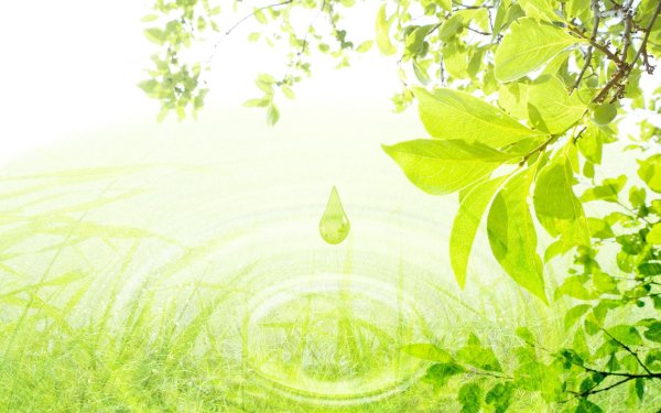 фон экологии