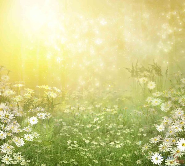 летние фоны