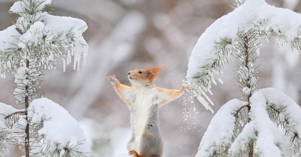 вадим трунов