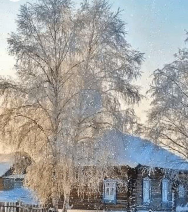 берёза под окном есенин