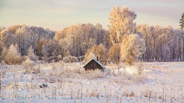 зимний пейзаж деревни