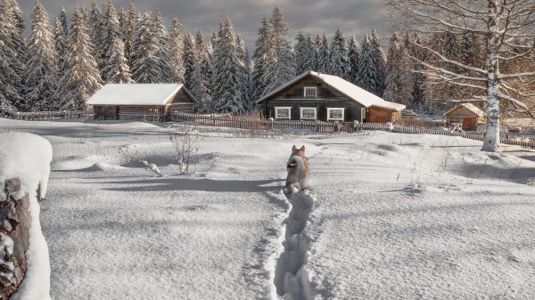 фотограф федор кованский вологодская область