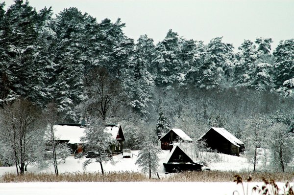 пейзаж зимний