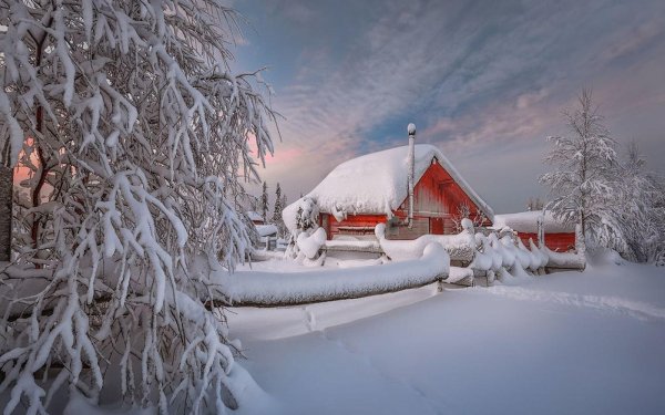 красота зимы