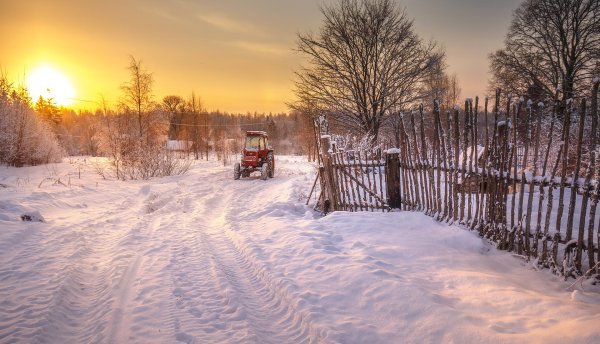 Зима природа деревня и животные