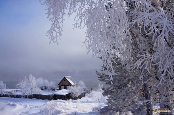 сибирь зимой