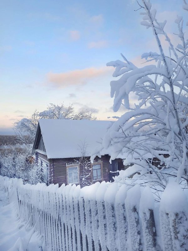барсуково деревня зимой вологодской