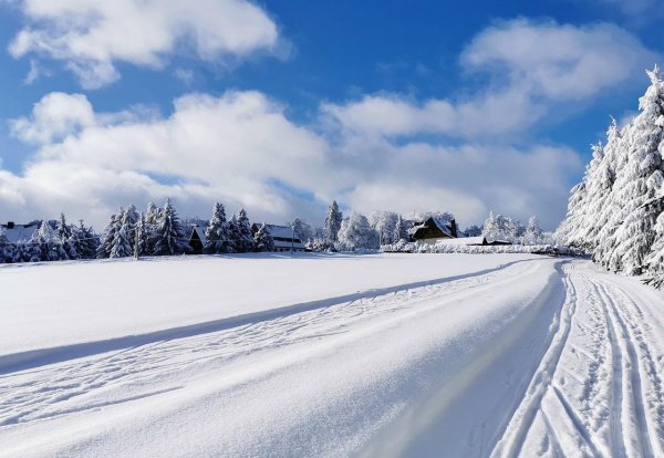 зимние дороги