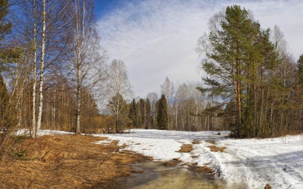 апрельские проталины
