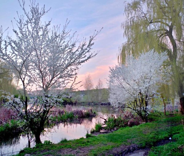 весенние пейзажи