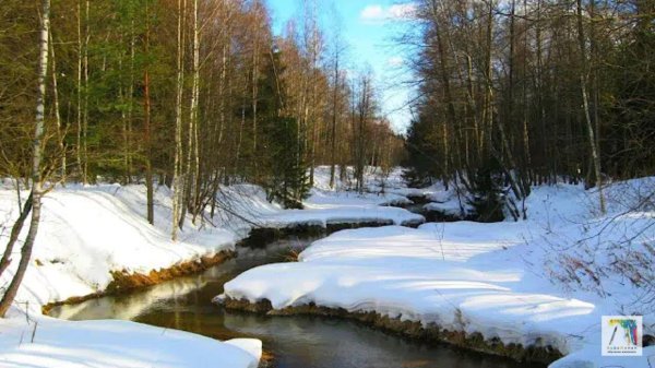апрельские проталины