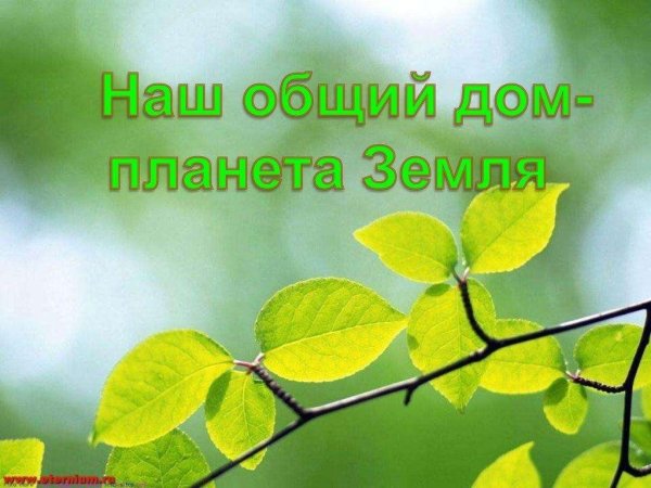 зелёная ветвь