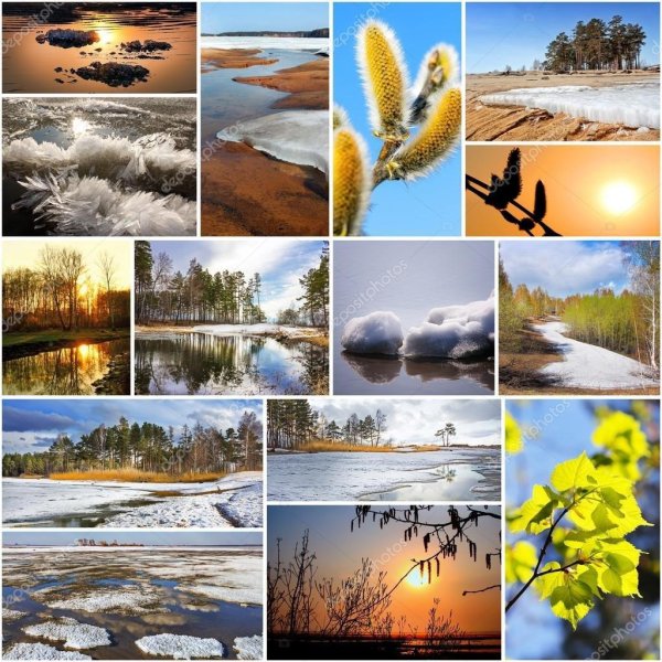 коллаж природа