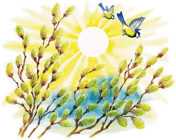 верба на вербное воскресенье