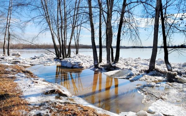 река весной