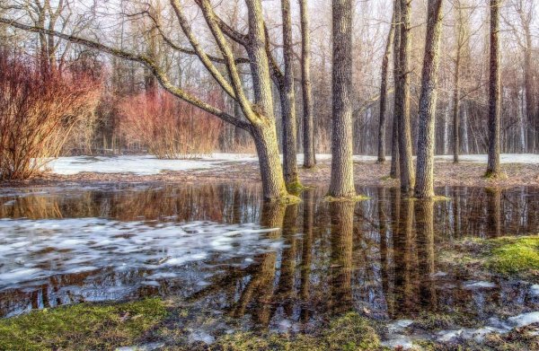 весеннее половодье