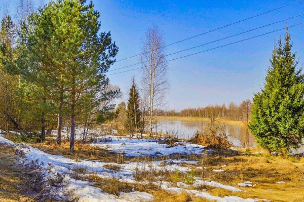 весенняя природа апрель