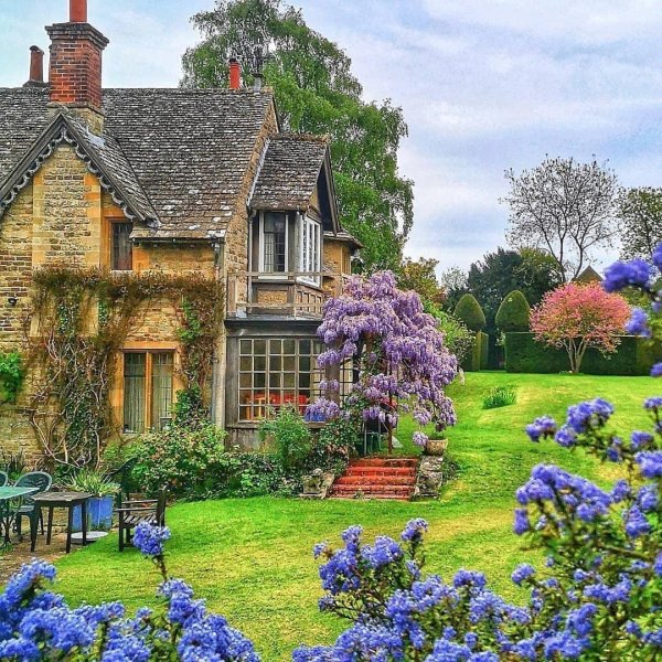 cottage garden