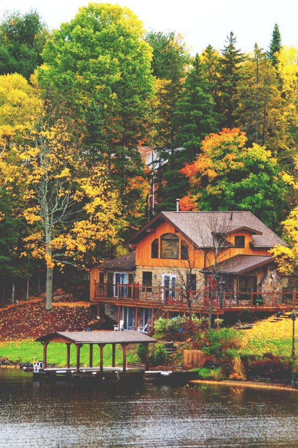 красивые дома на природе