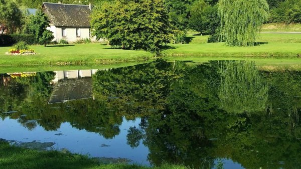 природа деревня