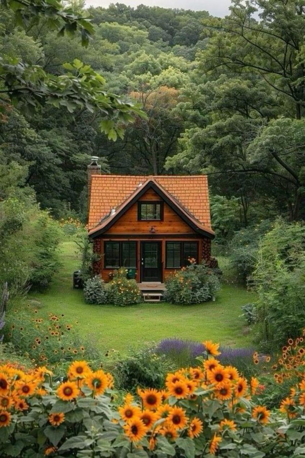 маленькие домики