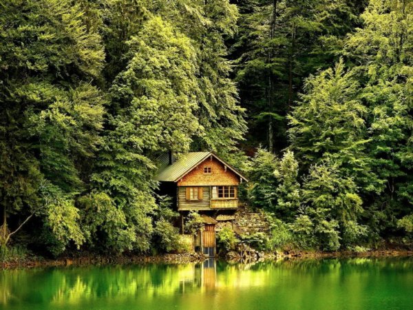 домик в лесу