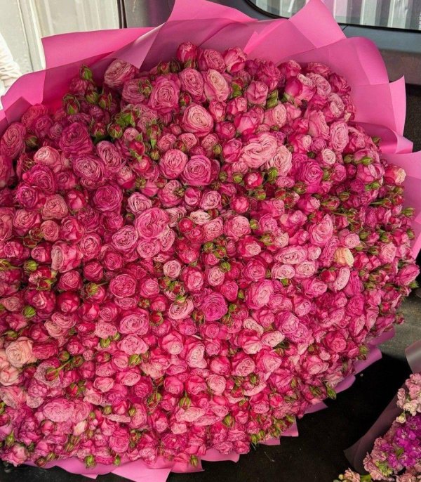 пионовидная роза мисти баблз