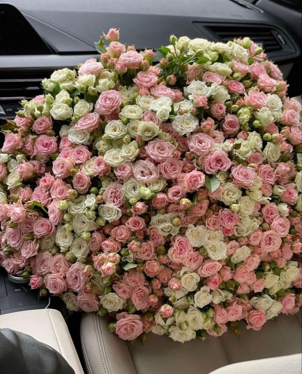 кустовые розы 101