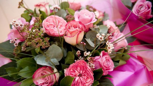 красивые цветы букеты