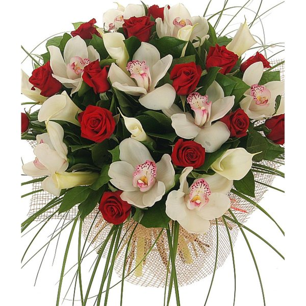 букет орхидеи