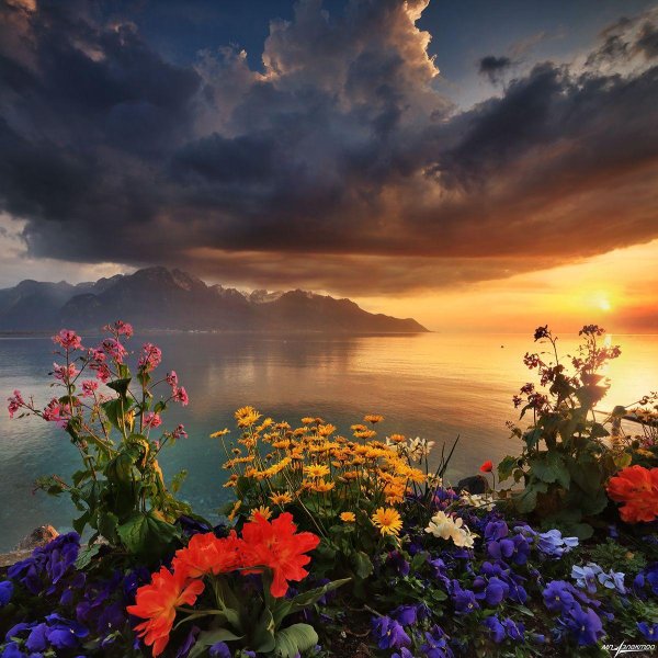 женева озеро леман