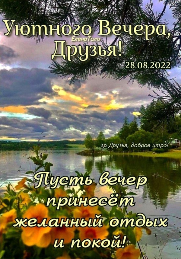 добр вечер