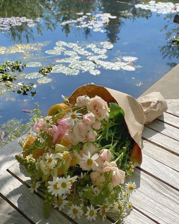 aesthetic flowers