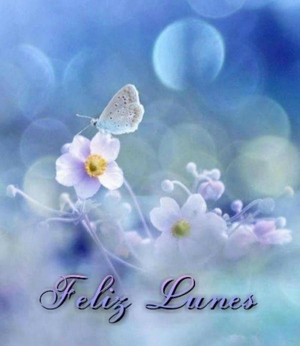 нежные цветочки