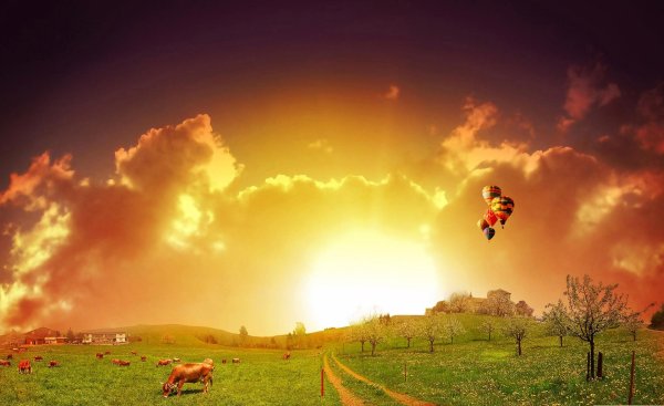 красивое солнце