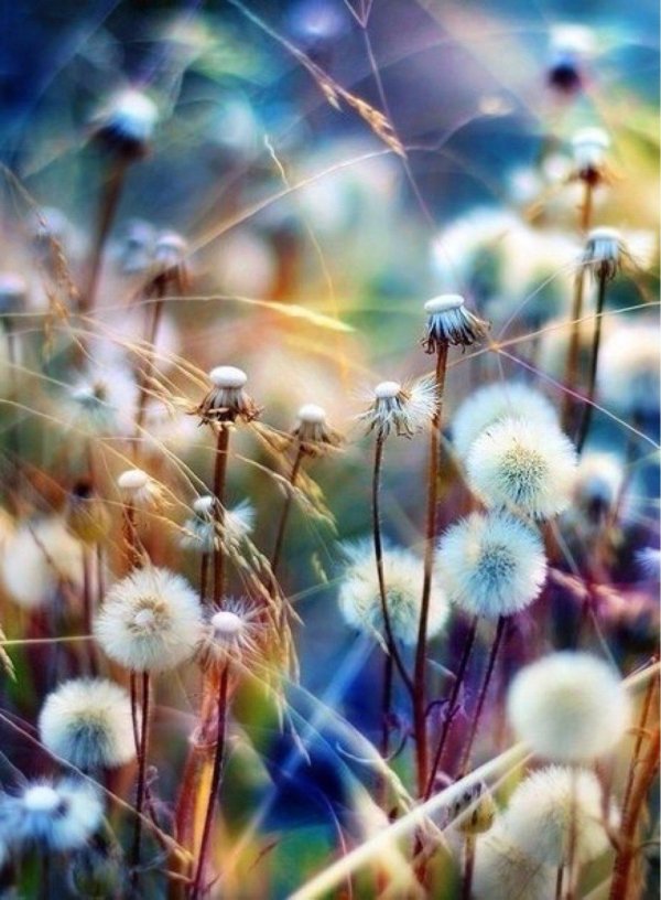 природы вдохновение