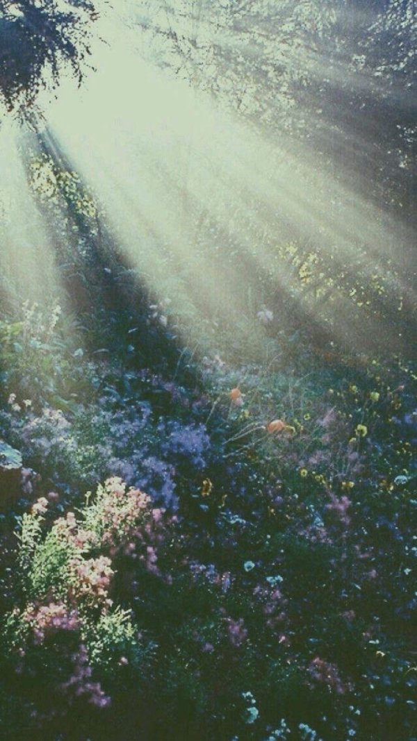 лучами солнца