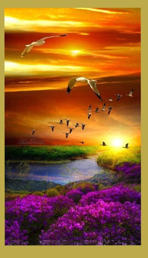 картины закат