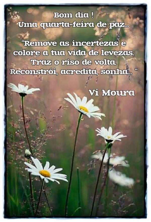 поле ромашек