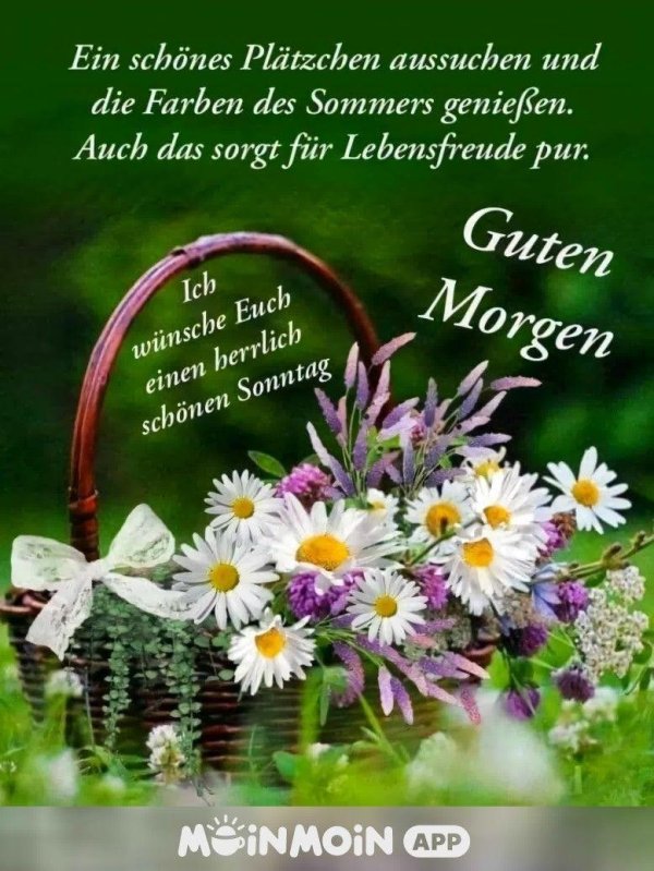guten morgen sonnenschein